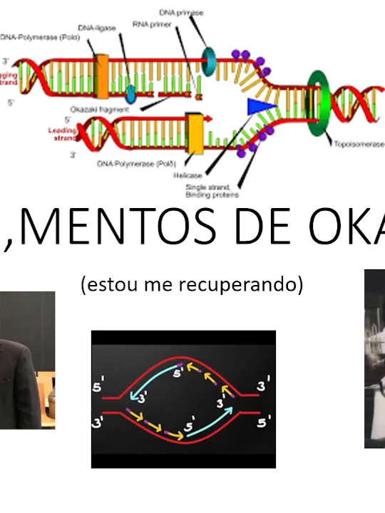 fragmentos de okazaki
