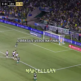 O Brasil é verde💚 #palmeiras #libertadores #virada #futebolbrasileiro🇧🇷 #LDU 