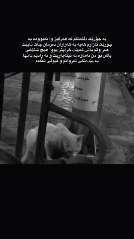 #karkuk #tiktok #active #imravo✅ #4u 