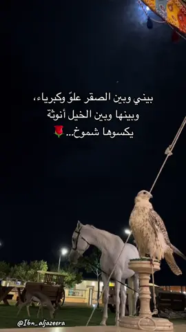 هيبة الصقر… وأصالة الخيل…🌹#هشتاقاتي_الترند_المشهور #ترندات_تيك_توك #هاشتاق #ماله_حل_الشعب_الصيني😂😂 #ترند_تيك_توك_مشاهير #creatorsearchinsight2025 #trend #اكسبلور #السعودية #كسبلور_explor #اكسبلووووورررر #تيك_توك #ترندات_ #تيك_توك_مشاهير #تيك_توك_مشاهير #ترند_ #fyp #اكسبلورexplore #fyppppppppppppppppppppppp #حبك 