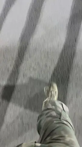 ##ليبيا_طرابلس_مصر_تونس_المغرب_الخليج🇱🇾❤🔥 #ليبيا_طرابلس_مصر_تونس_المغرب_الخليج #الشعب_الصيني_ماله_ح #🦅🦅🦅🦅🔥🔥🔥 #الصيني_ماله_حل😂😂اكسبلورررر 