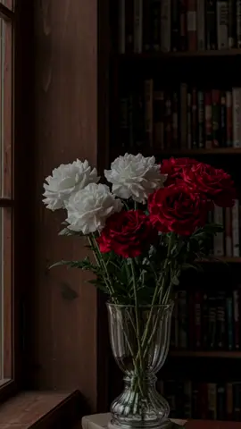 مجرد حياة#الحمدلله_دائماً_وابداً💚 