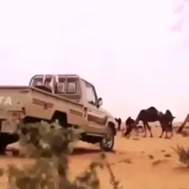 #explore #fyp #foryou #اكسبلور 