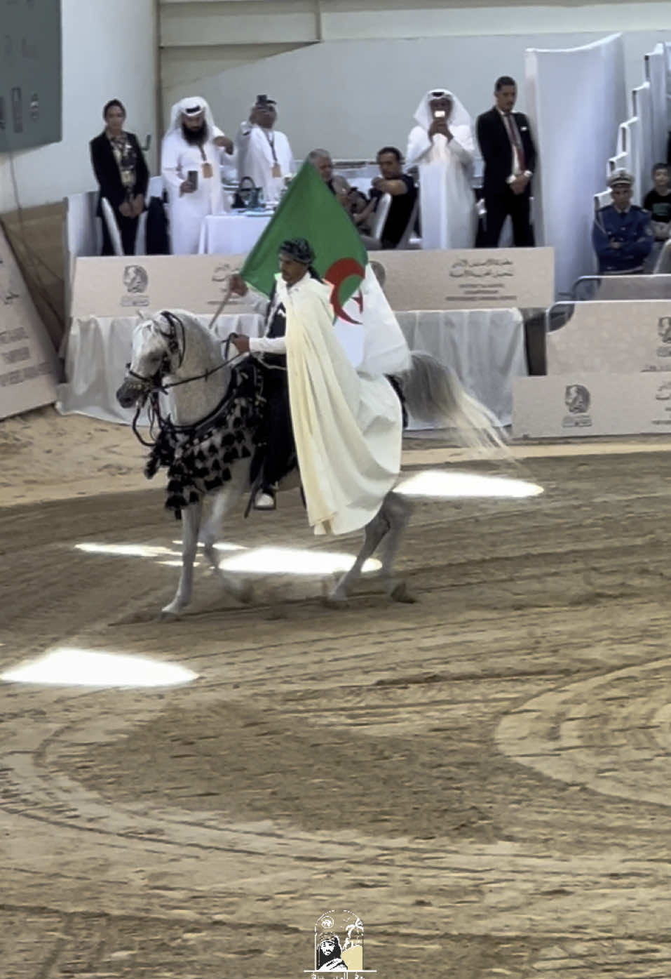 #ماشاءالله_تبارك_الله  #خيال #البليدة #خيول_جمال #تصويري #تقي_الدين_غبني #الوادي #شعب_الصيني_ماله_حل😂😂 