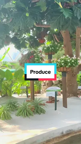 The newest narrator on Living With the Land is something else #epcot #livingwiththeland #disneyparks #produce 