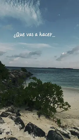 Noviembre está llegando con ganas de fuga ✈️  #lejosdelaciudad #noviembre #nuevamusica 