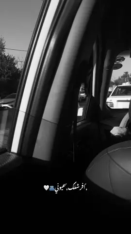 🥹🩵، #الغابات #موصل #نينوى #اكسبلور_تيك_توك #مشاهدات 