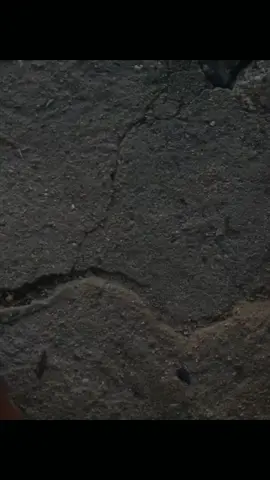 #Senja🌴🌅 #Info#kata