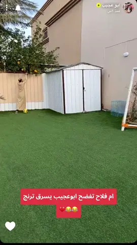 #قروب_ابو_حصه #😂