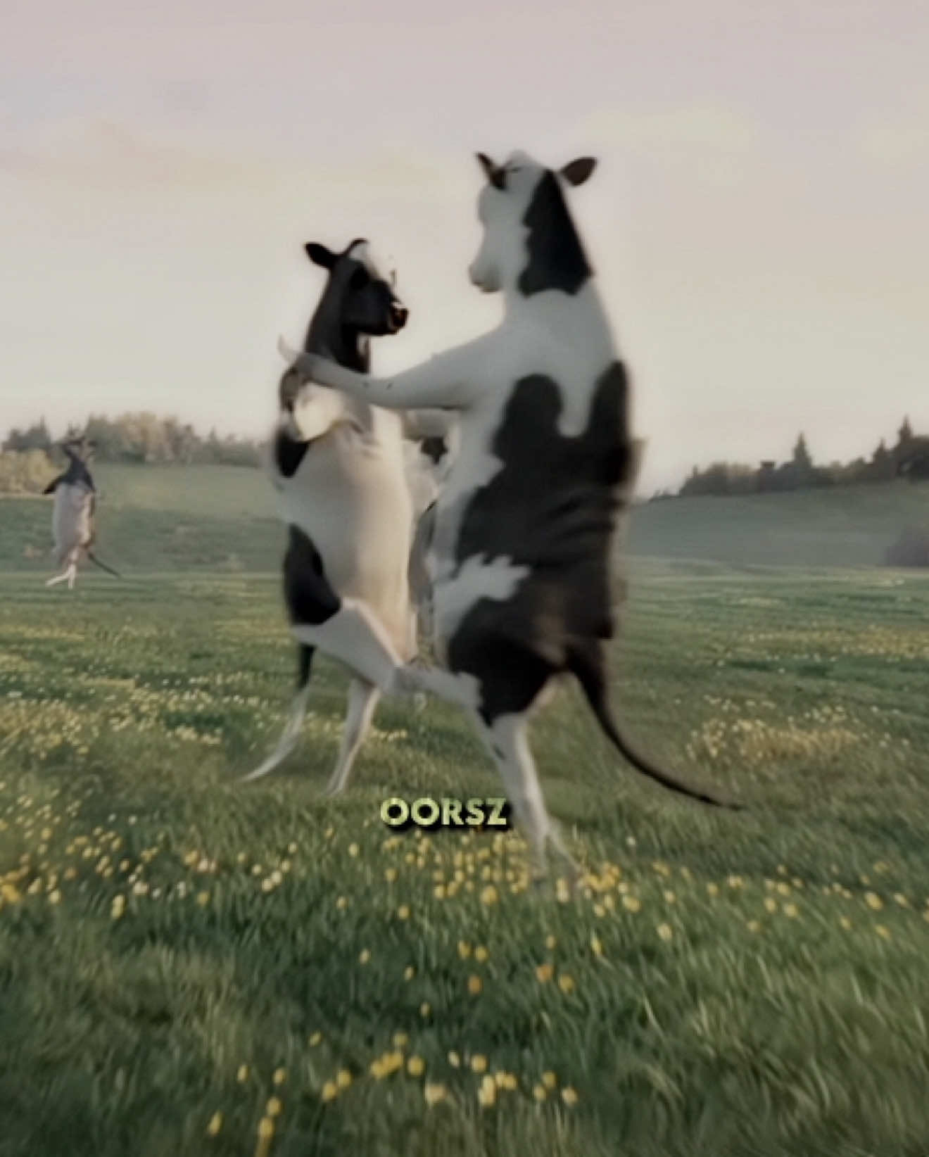 IT’S NOVEMBER BABY !! #fyp #oorsz #firstofthemonth #trending 