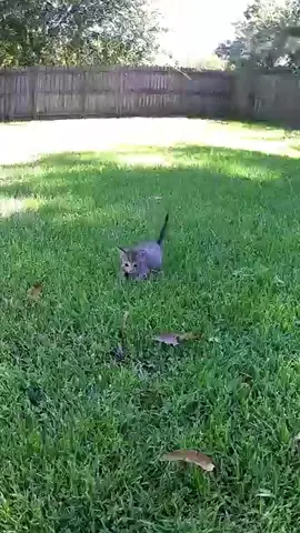 #سبحان_الله_وبحمده_سبحان_الله_العظيم #لايك_متابعه_اكسبلور #اكسبلورexplore #اكسبلور #parati 