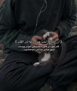 دڵی میهرەبان دەکا. #fyp #foryoupage #foryou #allah 