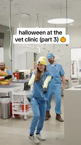 Replying to @rockwelladventures now presenting: despicable me, modern animal edition 🍌 #vetmed #vettech #despicableme 