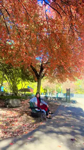 my beautiful friends #friendshipgoals 