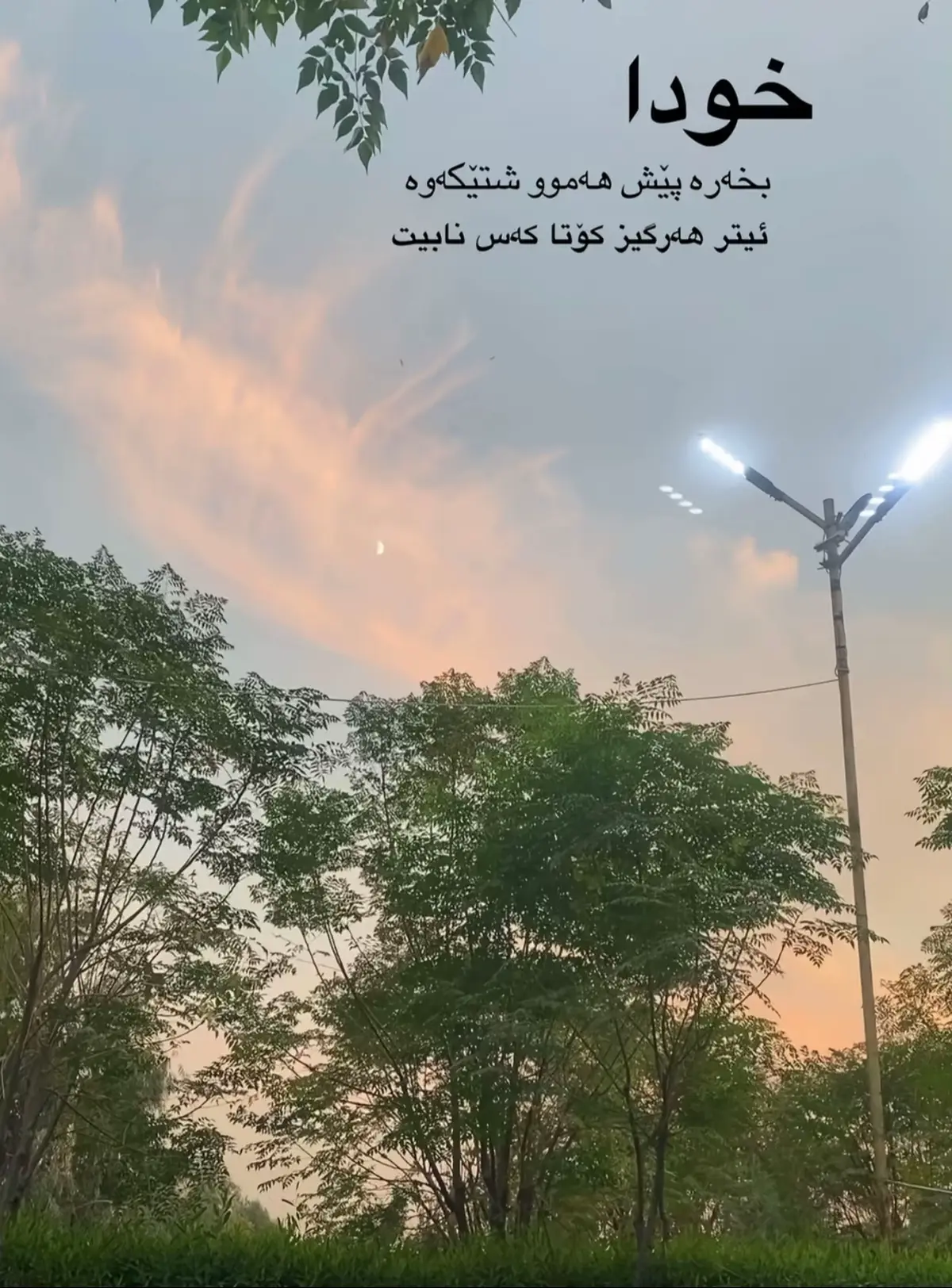 #foryou #imrova✅ #fypシ 