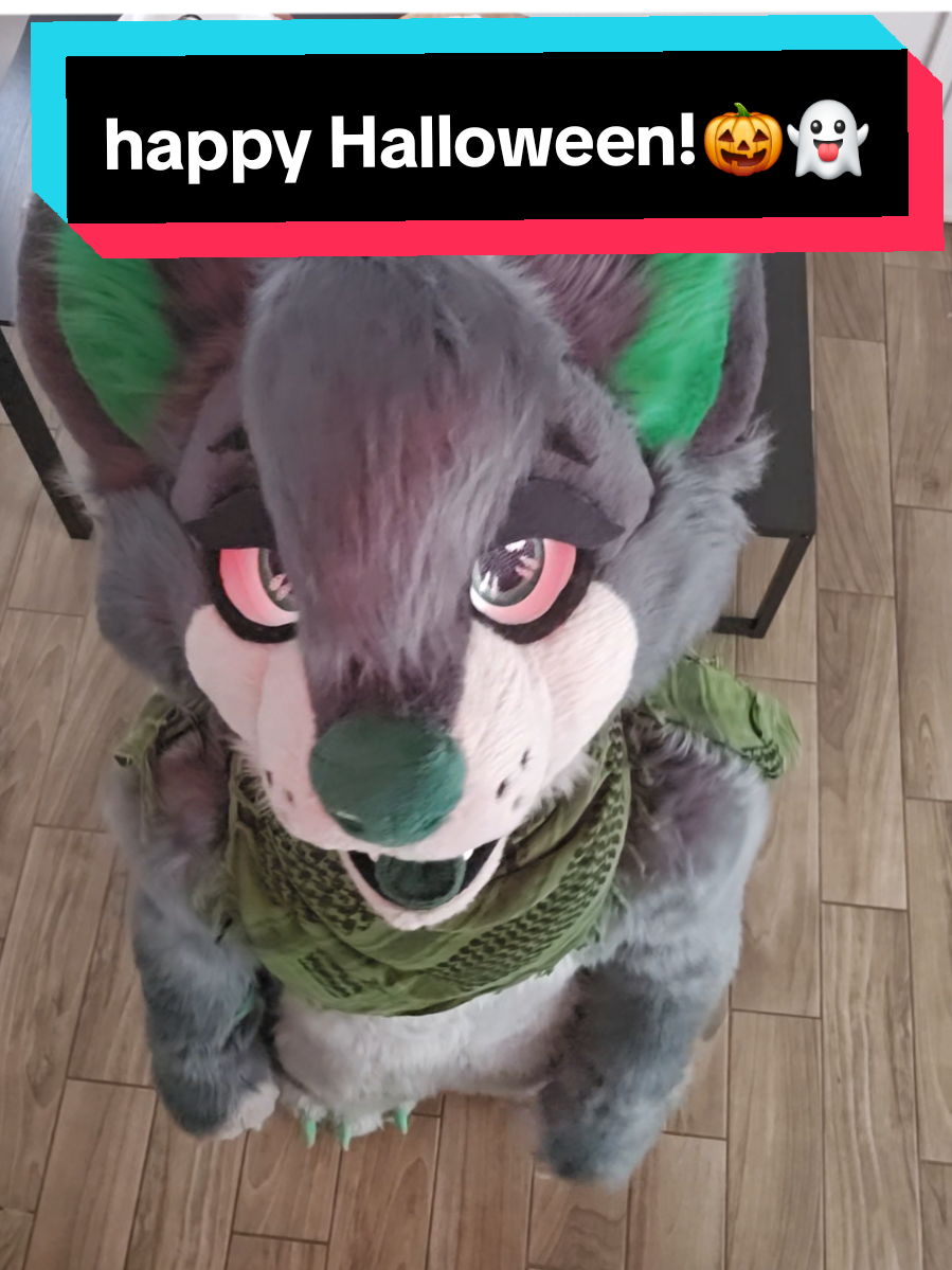 Happy Halloween everyone! have fun and be safe :3  #furry #Halloween #furries #fursuit #meme