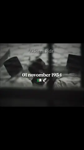 عيد الثورة 🇩🇿🕊️#تصميم_فيديوهات🎶🎤🎬 #algerie🇩🇿 