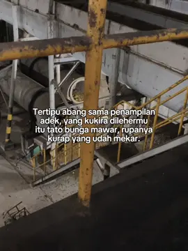 #CapCut #promomakanharian #pabriksawit #pypシ #NPD 