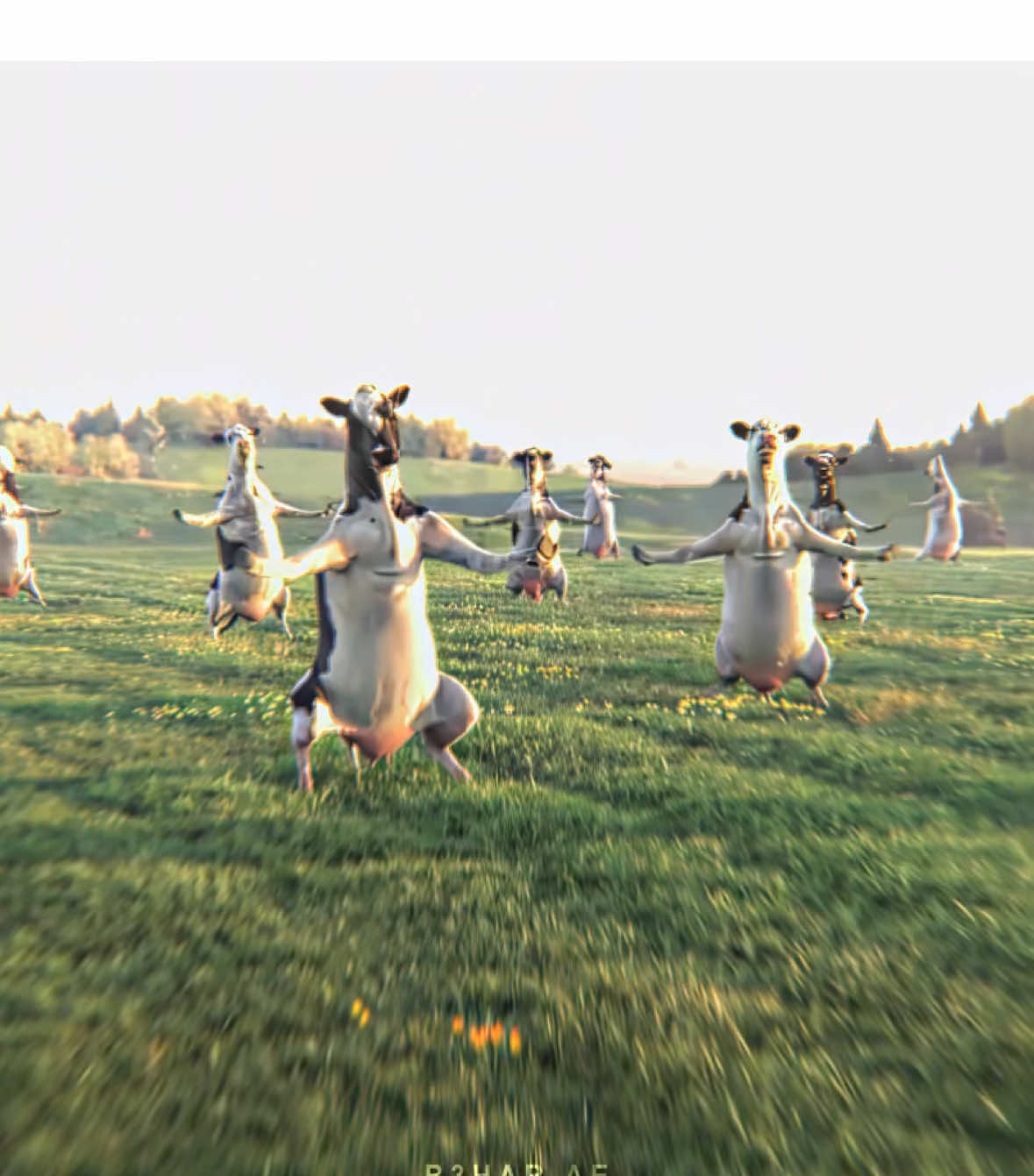 Wake up it’s the first of the month 🙏🔥 // it’s November guys nnn begins😭😭 || #fyp #firstofthemonth #cows #trending #foryou 