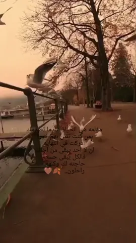 #مؤلمه هي الحياة عندما تصدمك بمن كنت تظن بهم خيراً ادركت في النهايه ان لا احد يبقى من اجلك فالكل يبقى حسب حاجته لك وكلهم راحلون 🍂🤎#عبارات #خواطر #لايك #متابعه 