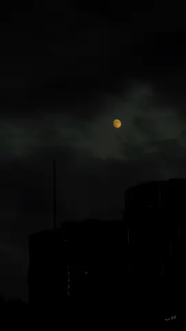 a lonely moon in the crowd of the night