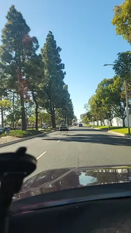 #LIVEIncentiveProgram #LIVEStory #PaidPartnership 