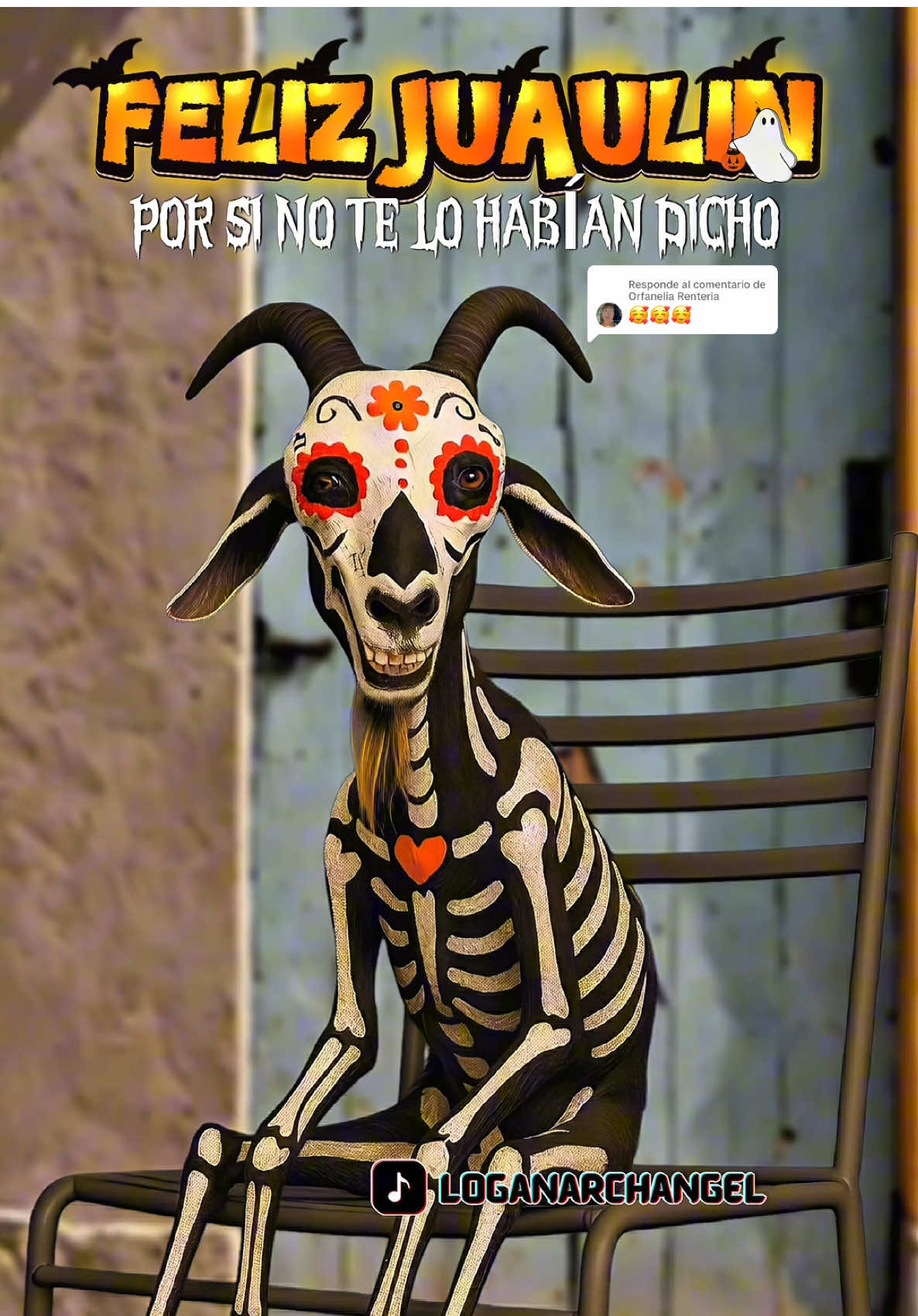 Respuesta a @Orfanelia Renteria Ya que les gustó tanto el primer video con el xoloitzcuintle quería darles el mensaje con la estrella actual del canal la cabrá Mafrencito disfrazado de calavera #felizjuawelin #felizjuagulin #felizhalloween #diademuertosmexico #disfrazatumascota 