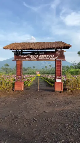 sabtu yang cerah  #fy #desa #semeru #lumajang 