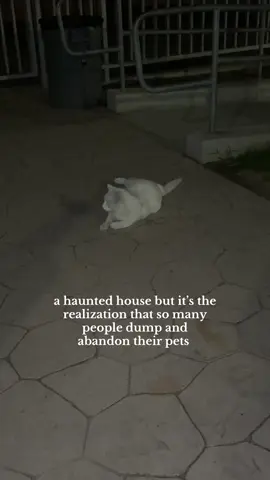 and we’ll be there to pick up the pieces but I just hope they all rot in hell 