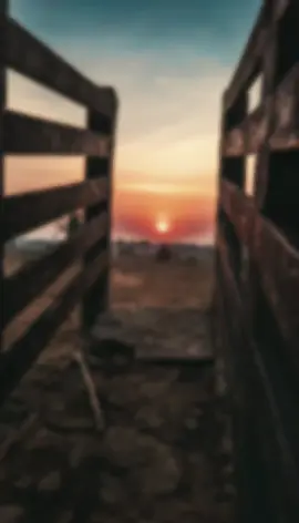 #fazmaracaipe #dorocapromundo #statusagro #interior #pecuaria 