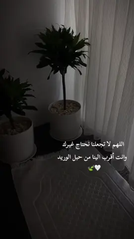 لا اله الا الله محمد رسول لله صلي الله عليه وسلم # ياحي ياقيوم برحمتك استغيث اصلح لي شأني كله ولا تكلني الي نفسي طرفة عين #