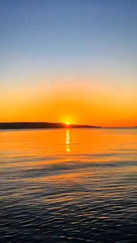 #bugistiktok #bugisfyp #fyp 