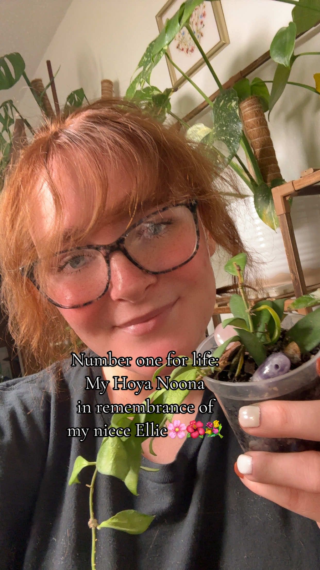Day 31 of 31: My forever favorite plant: My Hoya Noona “Ellie’s Light”🌸🌺💐🌙 in remembrance of my niece Ellie.                                   Some souls touch this world for only a short while… but their light changes everything it touches✨ This Hoya Noona is Ellie’s plant. My niece, my sunshine, my heart. She was born with a congenital heart defect, but she carried more courage and joy than most souls do in a lifetime. She loved Disney princesses, sparkly crystals, and every bit of magic this world had to offer. We used to go crystal shopping together. She’d pick the brightest ones with that twinkle in her eyes. Now those same stones rest in her pot: rose quartz for love, labradorite for protection and intuition (one of her favorites, amethyst for purification and to carry her light forward. She touched every soul she met. And though she left this world far too soon, her laughter, her light, and her love live on in every leaf, every bloom, every breath of peace this plant gives. For Ellie Katherine. Forever tiny. Forever fierce. Forever loved. 💫 If you feel called, these foundations help children and families like ours every day: 💗 Mighty Oaks Foundation @Mended Little Hearts @Ronald McDonald House  💗 The Children’s Heart Foundation https://www.childrensheartfoundation.org 💗 Save a Child’s Heart https://saveachildsheart.org 💗 [Ronald McDonald House Charities] (TikTok: @rmhc) 💗 [Mended Little Hearts] (TikTok: @mendedlittlehearts) #gr#grief1#31favoritese#heartdefecth#childhoodheartdefecto#hoya
