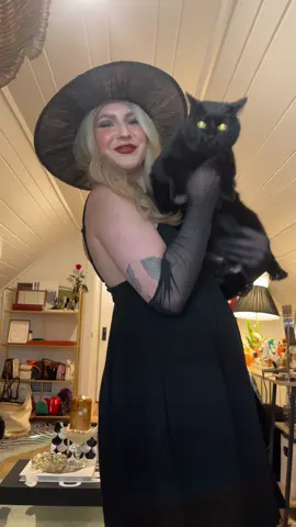 one of my multiple black cat props #witch #blackcatmom #halloween  