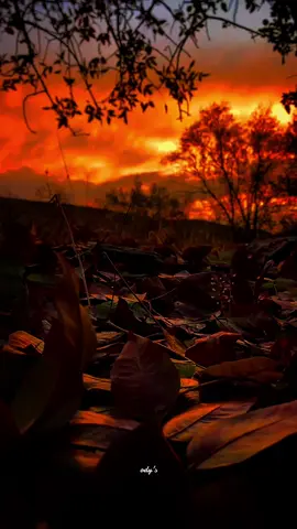 Ti ... 🫠 . #rovenadilo #lyricsshqip #odyslyrics #kengeshqip #fyy 