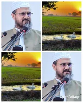 @আলোর পথ:লা ইলাহা ইল্লাল্লাহু মুহাম্মদুর রাসুলুল্লাহ (সঃ)☺️🥰 #ভালো_লাগলে_সবাই_লাইক_কমেন্ট_শিয়ার #ইসলামিক_ভিডিও_ ☺️🥰