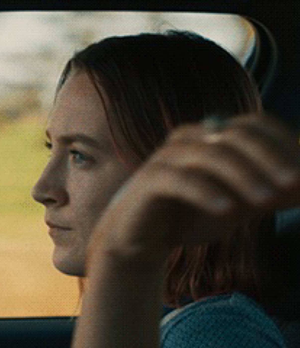 niche #ladybird #callmebyyourname #edgeofseventeen #harrypotter #niche 