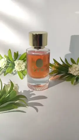 #لما الإبداع يلمع ....شوفو احلى✨✨ تصوير لهذا الفيديو الفائز ! #كل لقطة فيه-بتحكي# إبداع! تصوير-مبدع-احترافي 💫💫