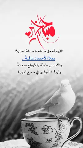 اللهم أجعل صباحنا صباحًا مباركًا يملأ الأجساد عافيةً..  والأنفس طيبةً والأرواح سعادةً.. وأرزقنا التّوفيق في جميع أمورنا #يارب❤️ #foryou #foryoupage #frypg 