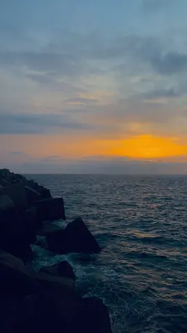 #foruyou @Didine Canon 16 Officiel #🥷 