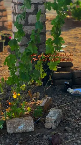 #مجرد________ذووووووق🎶🎵💞 #مجرد________ذووووووق🎶🎵💞 #اسوان_الاقصر_قنا_سوهاج_اسيوط_السودان #الشعب_الصيني_ماله_حل😂😂 #الشعب_الصيني_ماله_حل😂😂 