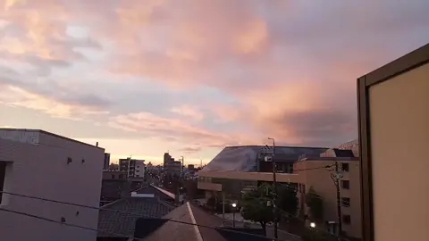 Masya Allah✨ vibes pagi ini🦋 01 November 2025 #vibes #名古屋 