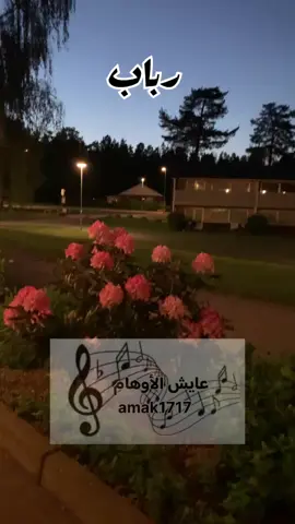 #عايش_الاوهام🥺 #موالات_حزينة_عراقية💔 #مواويل_عراقية_حزينه💔 #حزيــــــــــــــــن💔🖤 #مواويل 