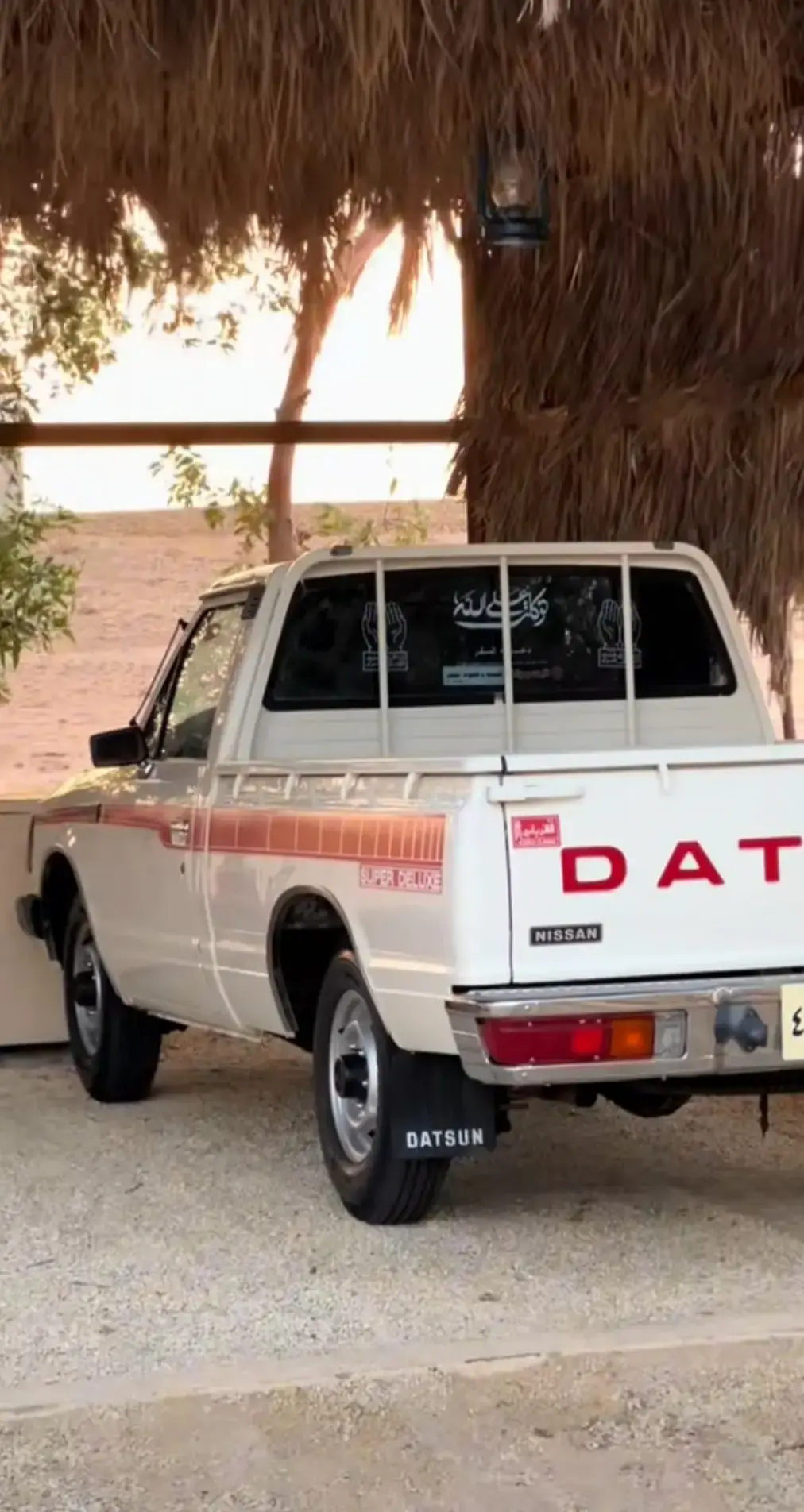 #النداوي🦇 #☆☆☆☆☆☆☆☆☆☆☆☆☆ 