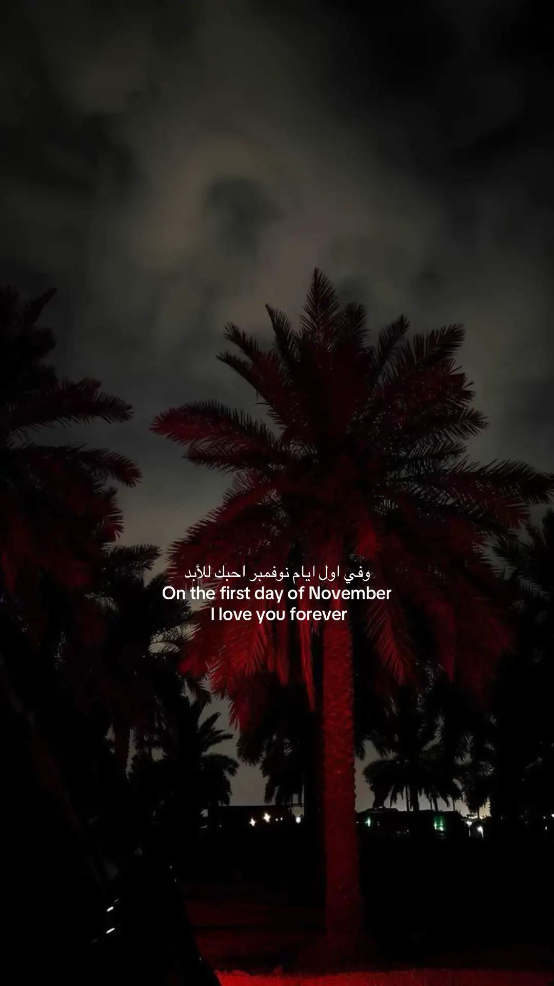 #foryou #نوفمبر #شتاء #winter #November