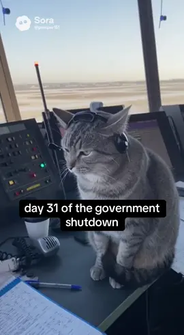 #atc #airtrafficcontrol #catsoftiktok #sora 