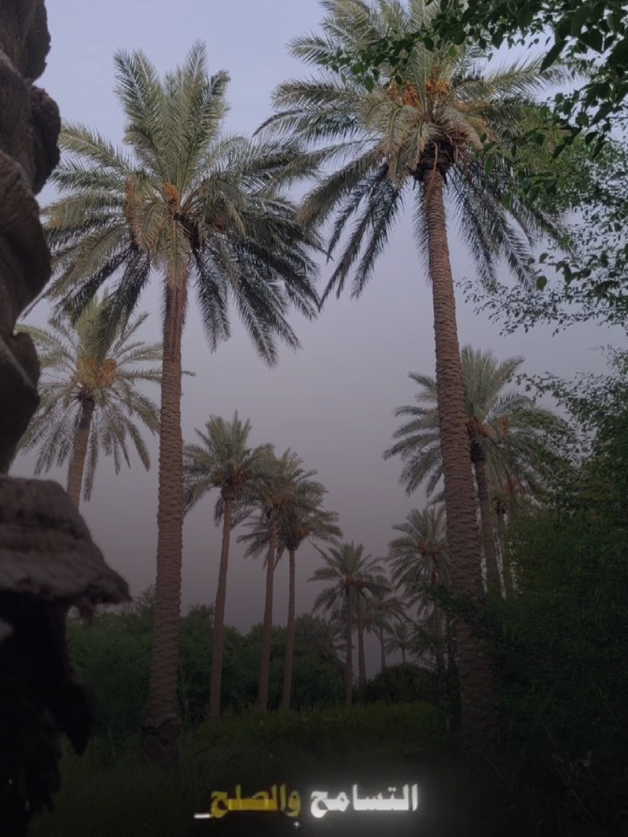 #CapCut #🖤🖤❤️❤️🖤🖤 #سمير_صبيح💔 #اكسبلورexplore #سمير_صبيح❤️ 