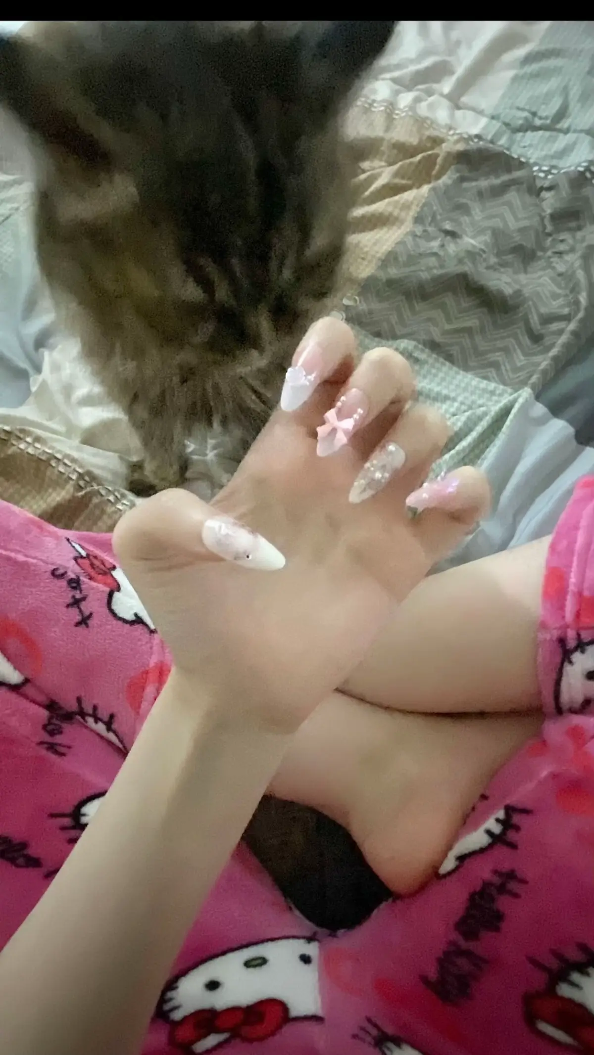 خير مامدح اظافري ؟!؟! #اكسبلور #cat #fyp #explore 