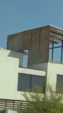 Si alguien conoce al dueño, avísele qué todas las grietas de la colonia le van a salir en esos tres muros. #fyp #parati #arqui #construction #casa