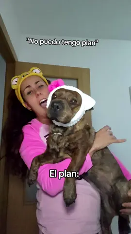 El plaaaan 🩷 #perritostiktok #paratiiiii 